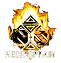 Neck Sprain logo